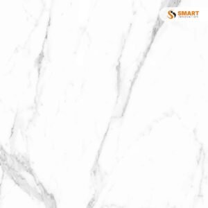 Livorno Gris 60x60 A025 tile laid across a modern lounge floor