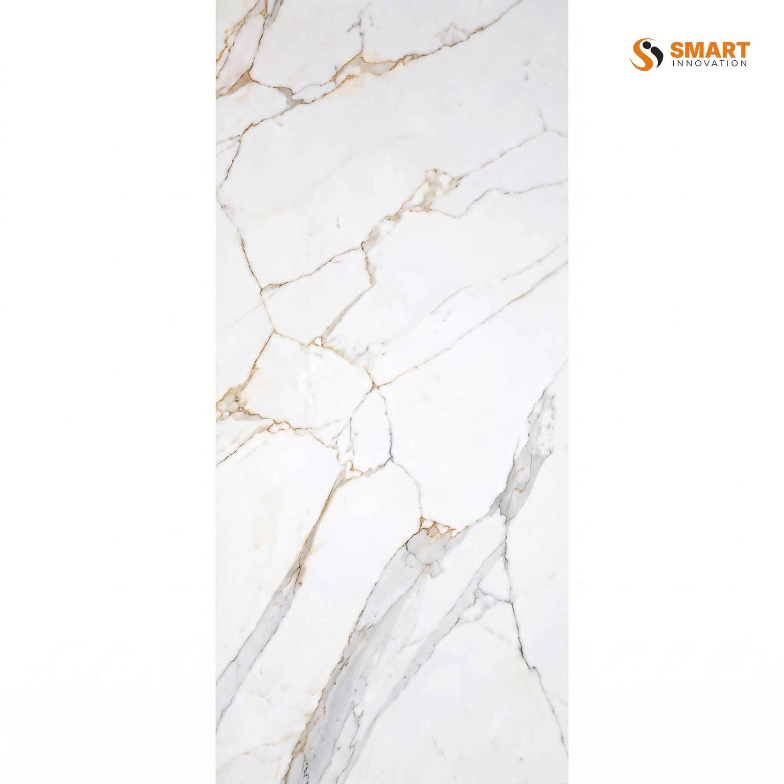 Magic Gold 60x120cm tile with a decorative finish on a wall and floor
